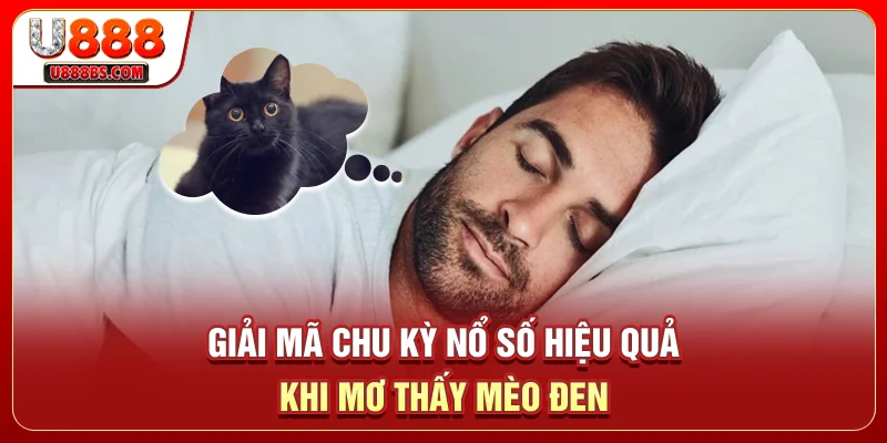 Giải mã chu kỳ nổ số hiệu quả khi mơ thấy mèo đen